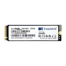 حافظه تویین موس TWINMOS NVMe M.2 256GB