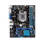 asus h61